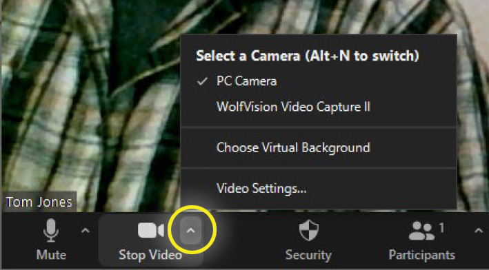zoom video access