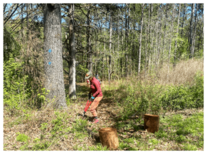 Person does landscaping work at Cedar Lane Farms in Morgan County, GA.