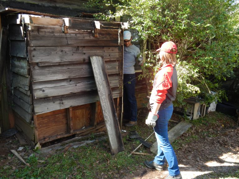 CED volunteers work with Hands On Athens.