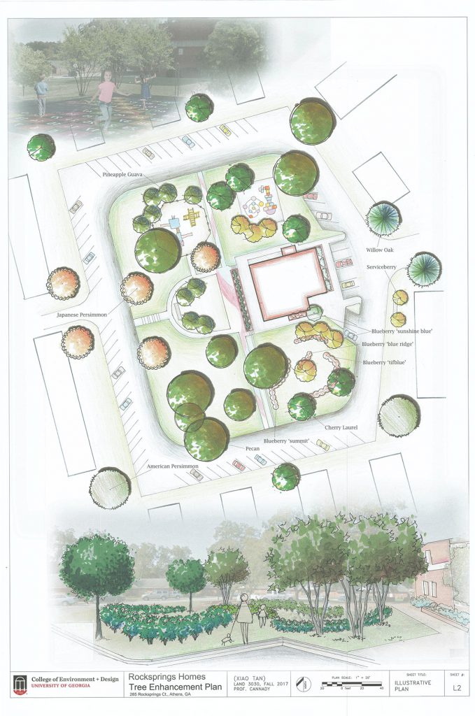 Rocksprings Homes Community Center planting plan by Xiao Tan