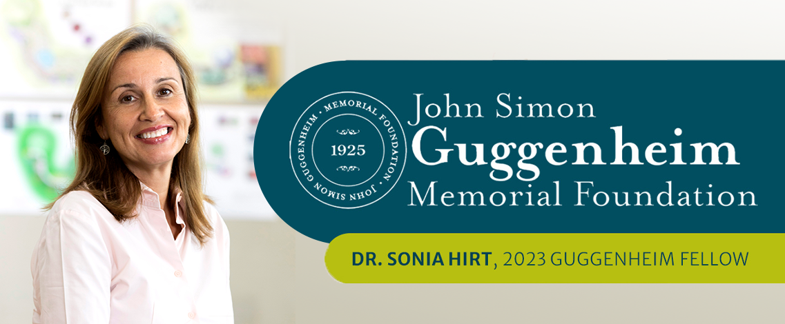 Sonia Hirt Awarded Guggenheim Fellowship