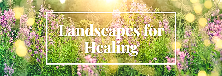 Landscapes for Healing