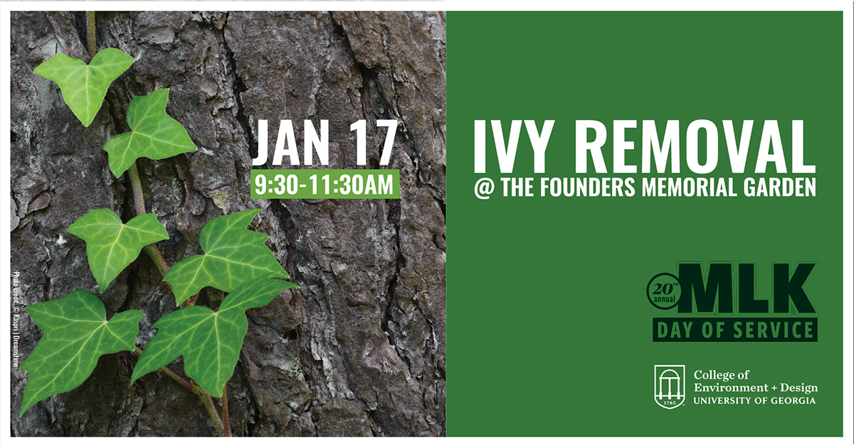 MLK DAY: Ivy Removal at the Founders Memorial Garden