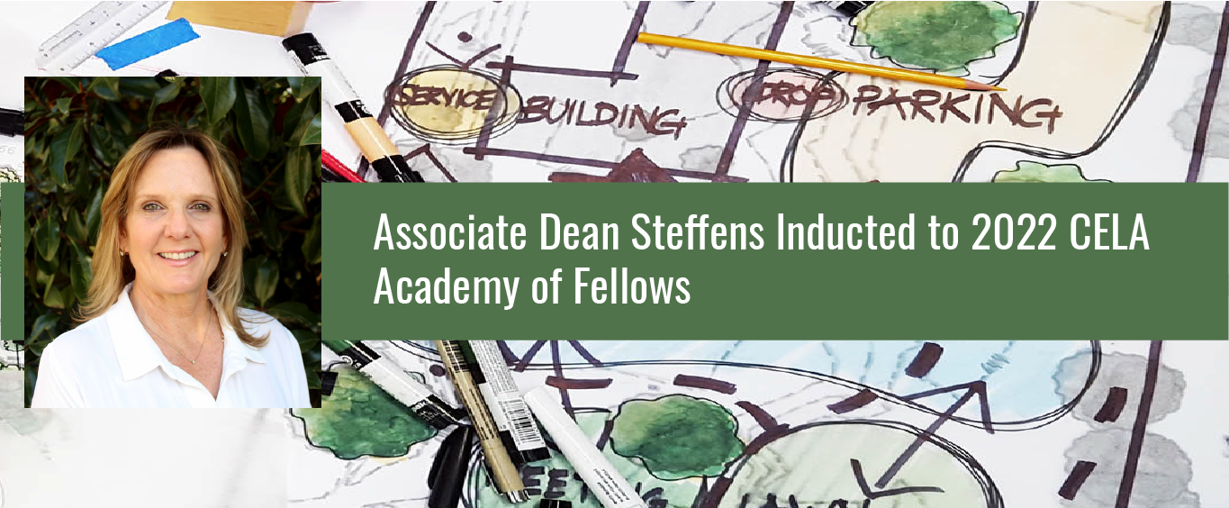 Associate Dean Steffens inducted to 2022 CELA Academy of Fellows