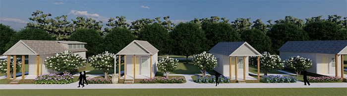 Lumion rendering of tiny homes in Homervillage 