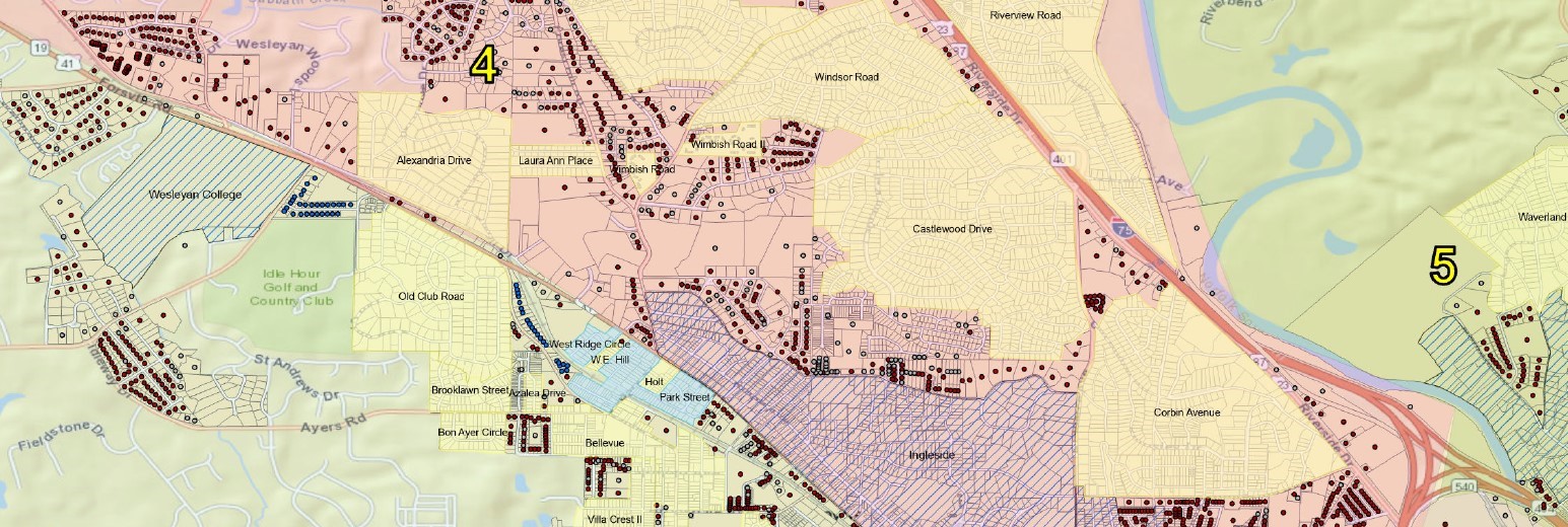 sample section of Macon survey map