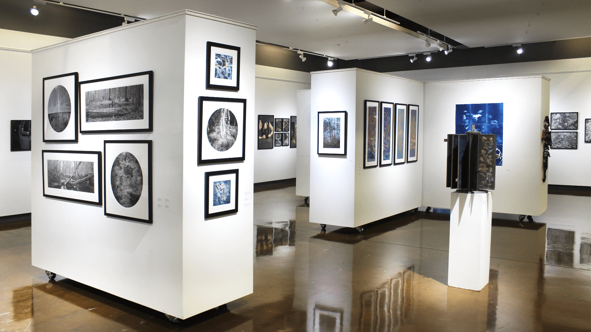 Circle Gallery Exhibit on Bartram Trail