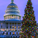 CED Alum Participates in Capitol Christmas Tree Project