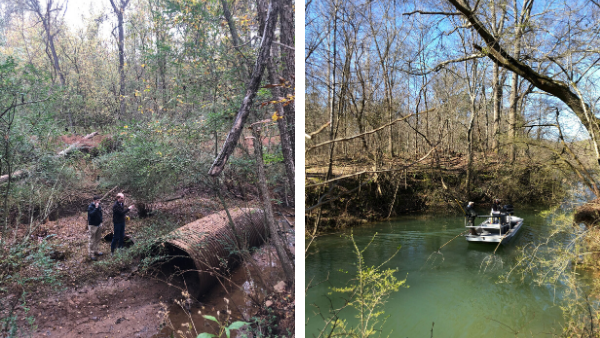 Two more photos from the river restoration site