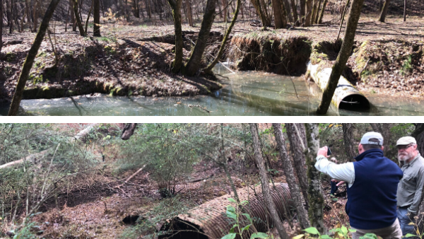 Two photos from the river restoration site