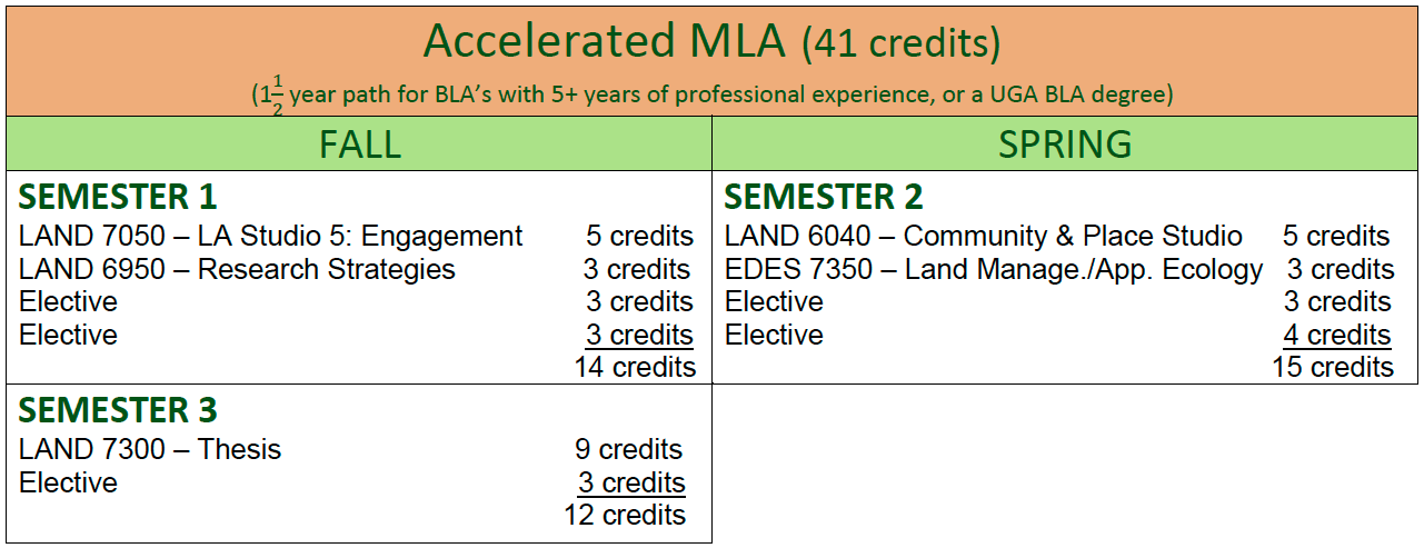 Accel MLA 41 credits
