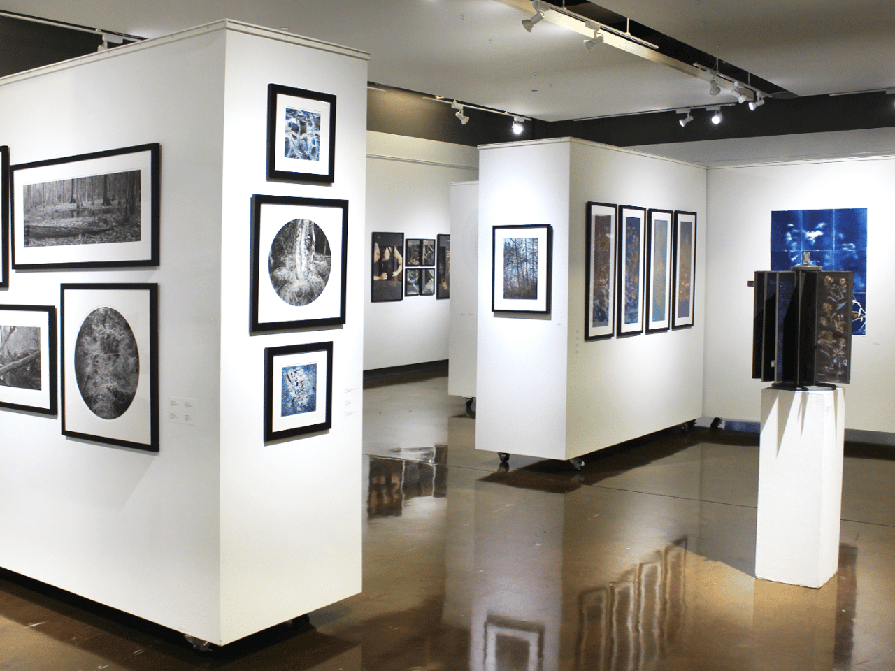 Bartram Trail Banner in the Circle Gallery