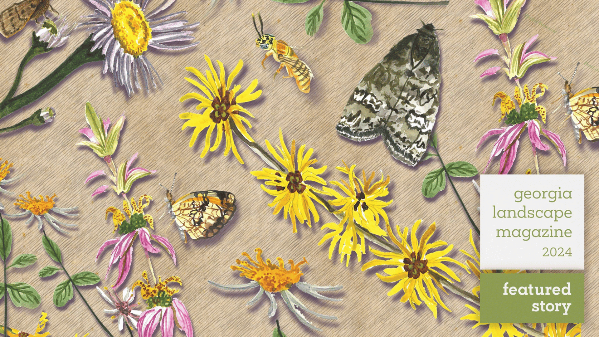 Illustration by Paige Garvin for Georgia Landscape Magazine