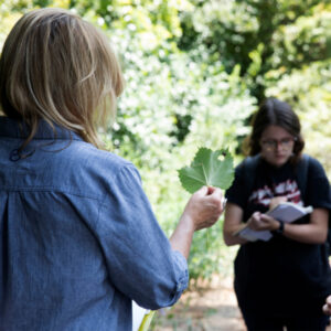 Woman holds up a leaf while another woman sketches in the background.