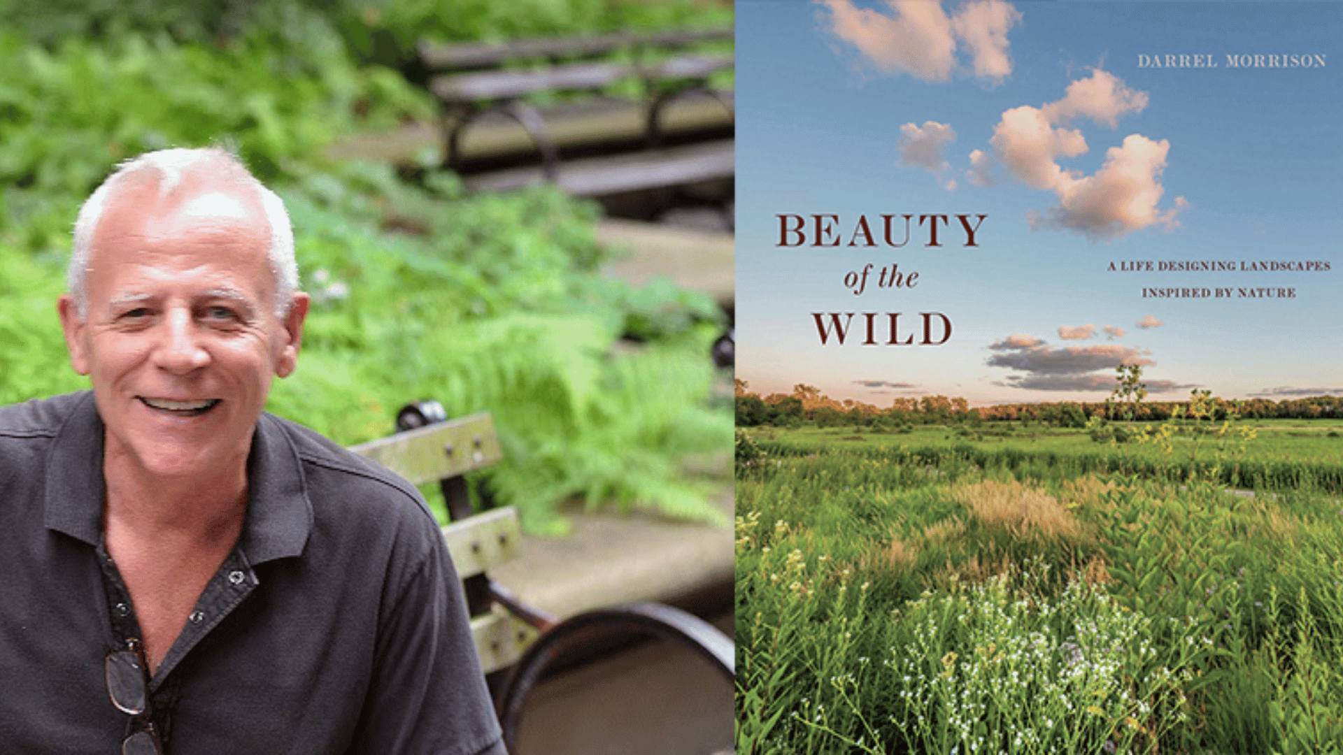 Banner graphic of Darrel Morrison and Beauty of the Wild book cover