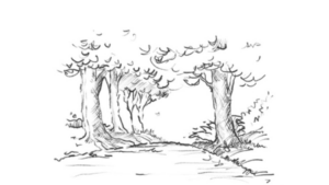 Example of 'pencil' sketch drawn using Procreate on iPad Pro with Apple Pencil, drawn by Professor Spooner