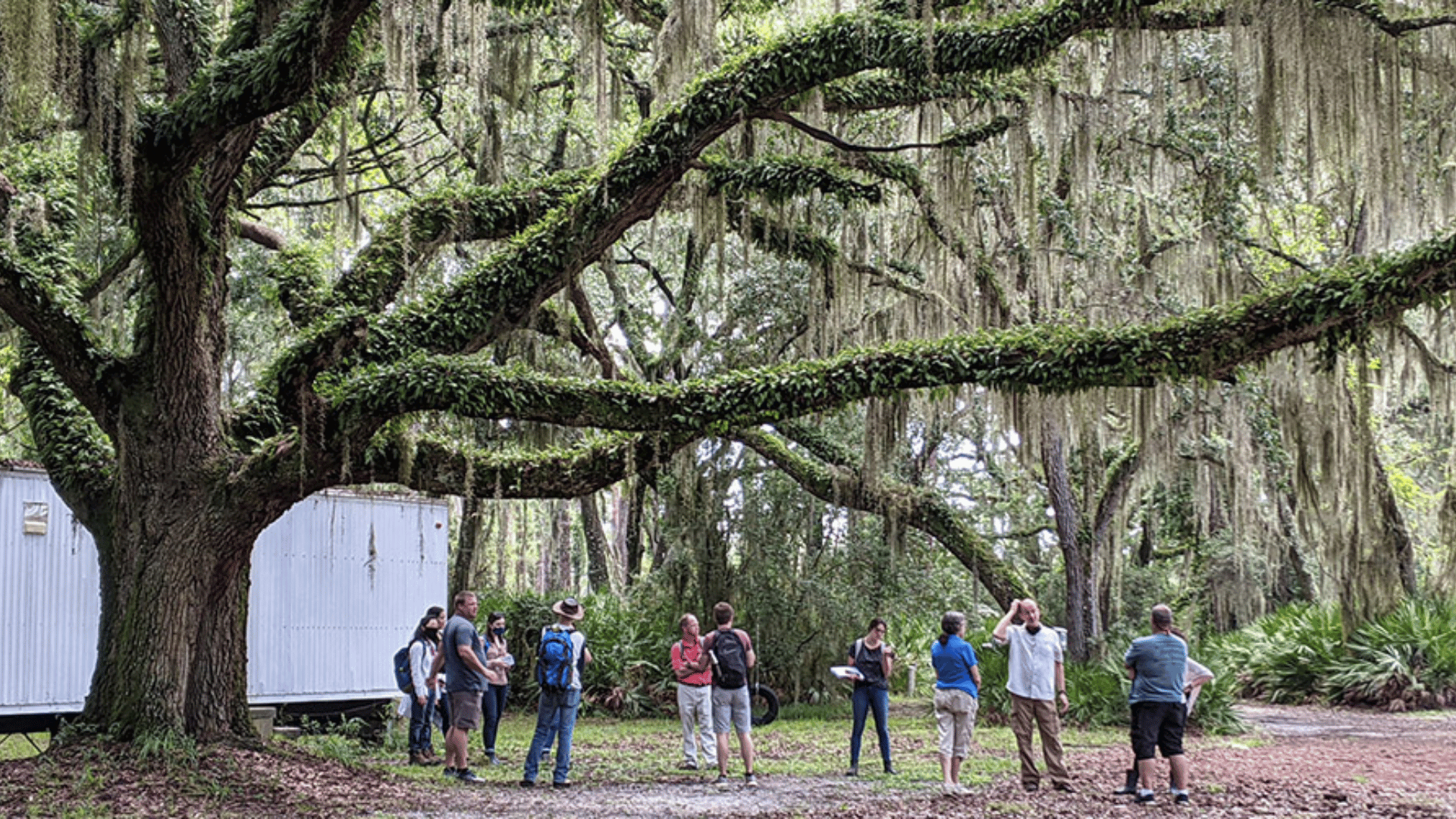 The team visits the Magnolia Circle residential area of the UGAMI campus, one of the sites selected for new housing prototypes. (Photo by Jennifer Lewis)