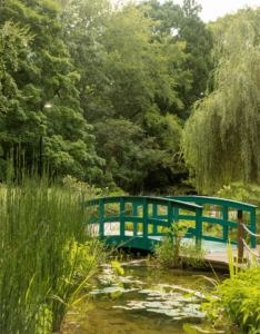 Teal-painted footbridge over a pond with water lilies, surrounded by lush greenery.