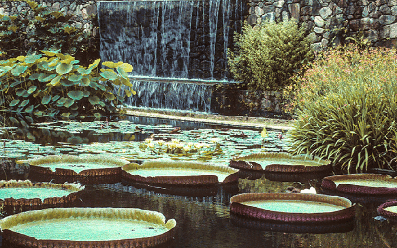 Garden with waterfalls