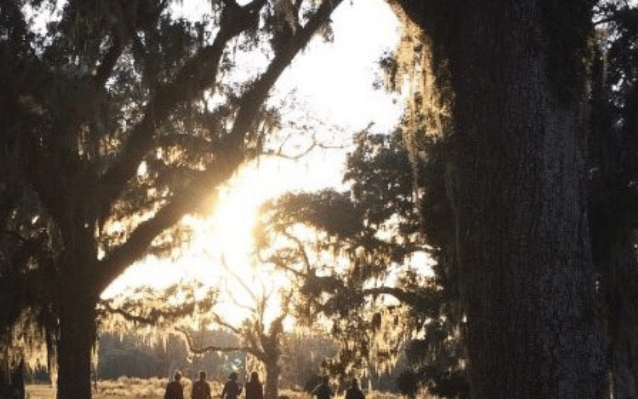 Golden hour sunset at Wormsloe.