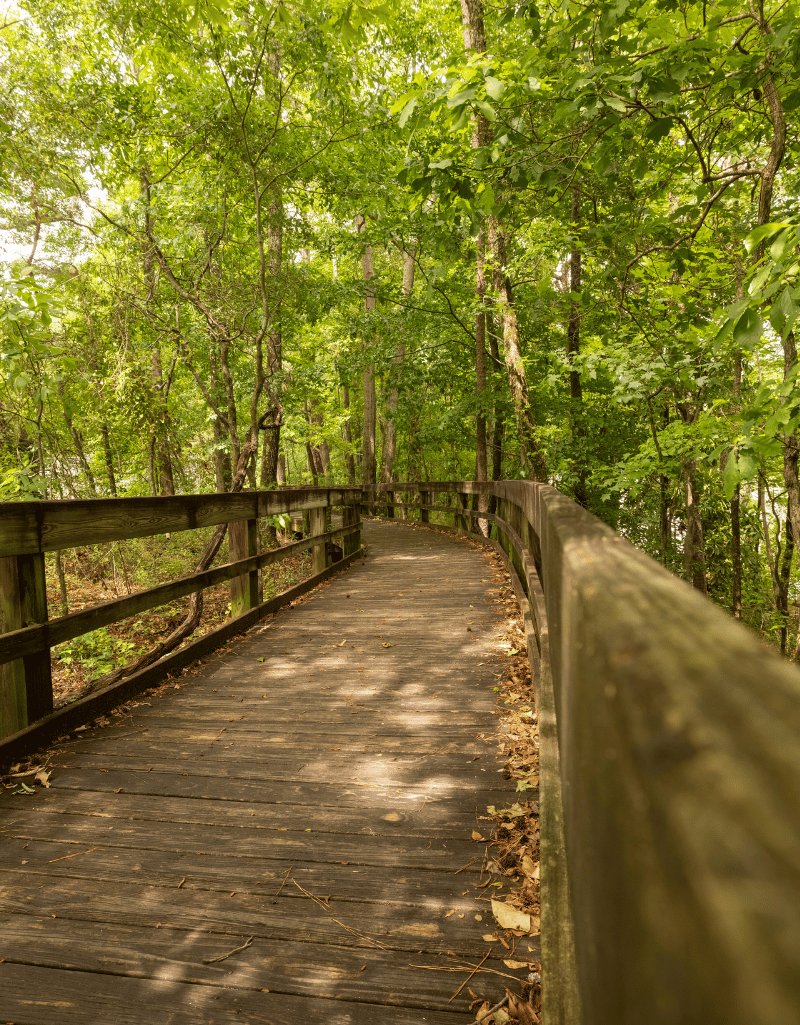 Landscape Architecture Short Course