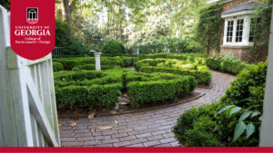 Box garden at FMG with UGA CED Banner