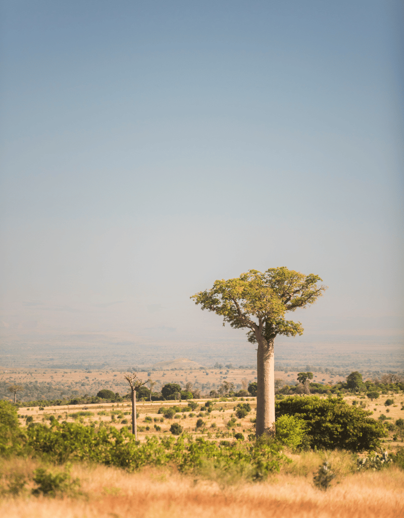 Tanzania