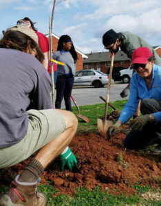 Students planting a tree during a service-learning project.
