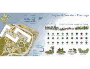 Master plan showing playground, amphitheater, plaza, and dog park with diagrams of regional tree plantings, including pine, fruiting, and aquatic species.